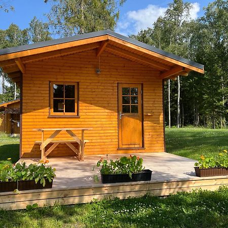 Marika Puhkekuela - Metsanurga Oeoemaja "Shared Bathroom" Nova Kültér fotó