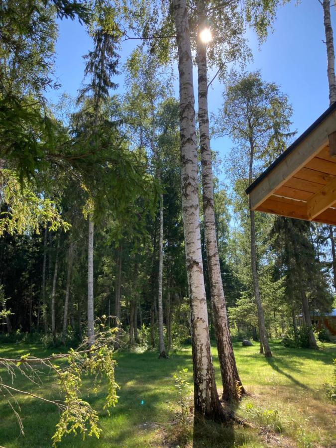 Marika Puhkekuela - Metsanurga Oeoemaja "Shared Bathroom" Nova Kültér fotó